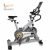 BH Fitness I.Spada II Racing Spin Bike