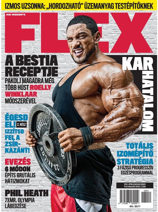 FLEX Magazin 2018/2.lapszám