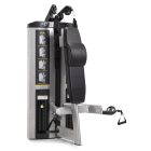 Freemotion Genesis DS Abdominal/Biceps