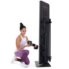 Pro-Form Vue (tükrös edzőgép)