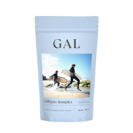 GAL Csirkeporc-komplex 90 g