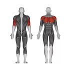 Steelflex fekvenyomógép (PLBP-BR)