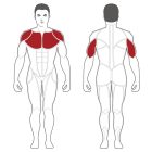 Body-Solid Plate Load Ferdepados fekvenyomógép (PLIP)