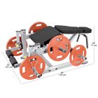 Body-Solid Plate Load Lábhajlítógép (PLLC)
