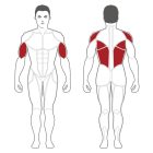 Body-Solid Plate Load Melltámaszos hátgép (PLSR)