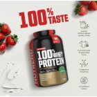 NUTREND 100% Whey Protein 800g Pistachio