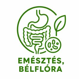 Emésztés bélflóra