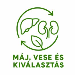 Máj, vese és kiválasztás